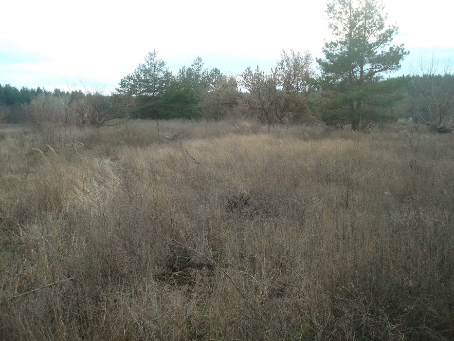 Ціну змінено!!! Продам земельну ділянку під будівництво в с. Чорнявка