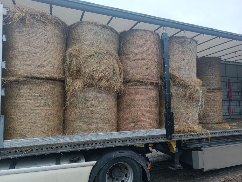 Siano, sianokiszonka, słoma