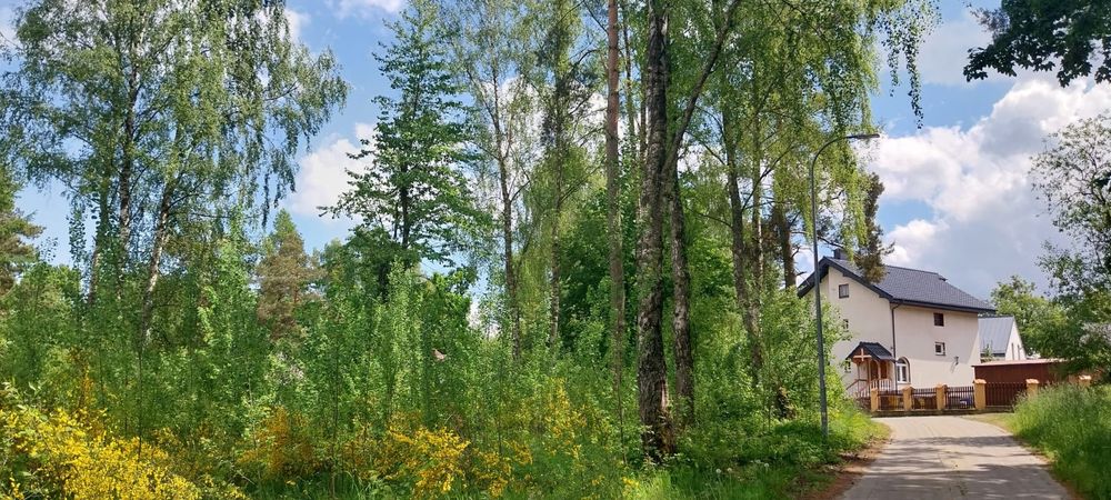 Działka  z miejscowym  planem zagospodarowania przestrzennego - Widok 3