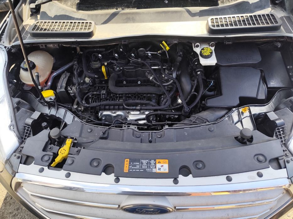 Ford Escape SE 2019 1.5 Turbo