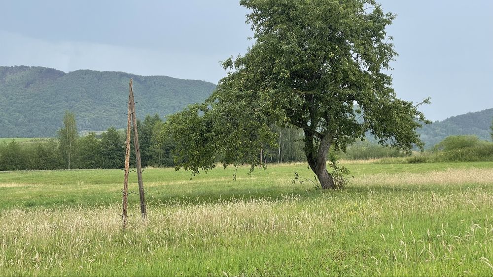 Продається деревяний будинок