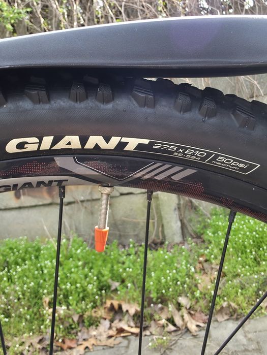 Rower Giant Talon