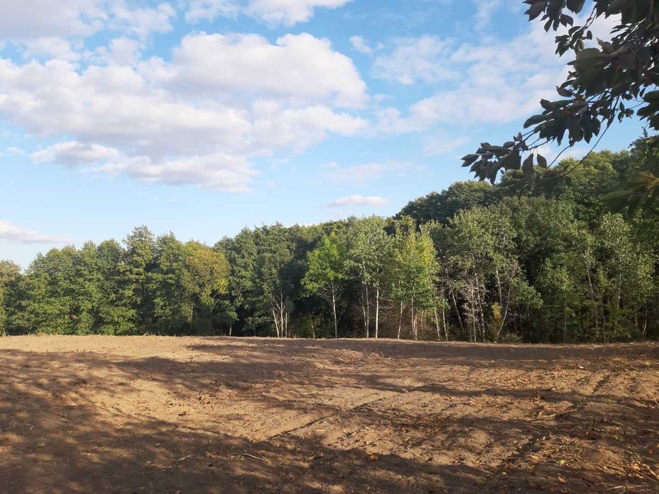 Продається земельна ділянка в Щітках