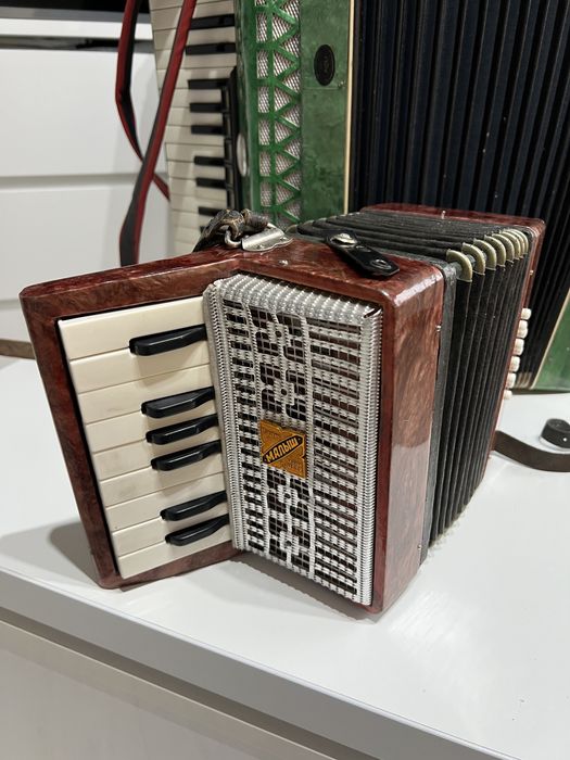 Akordeon meza malysz