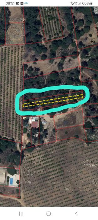 Terreno Rústico em Santa Bárbara De Nexe.