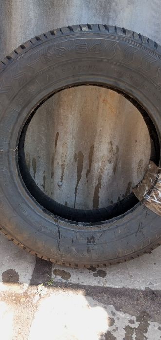 Шина Бц 54 Росава нова