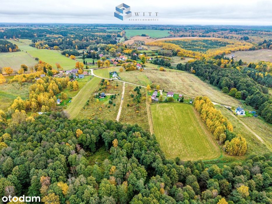 3263 m² | WZ | Blisko jeziora Dąbrowa Wielka