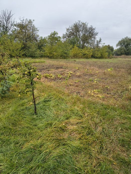 Продається земельна ділянка