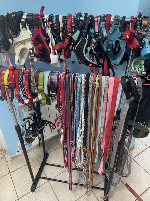 Амуніція (повідці, шлеї, ошийники) для тварин.