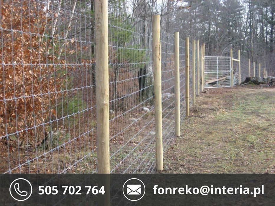 Siatka Leśna Cena PRODUCENTA 170zł 50mb WYSYŁKA GRATIS Na czas budowy