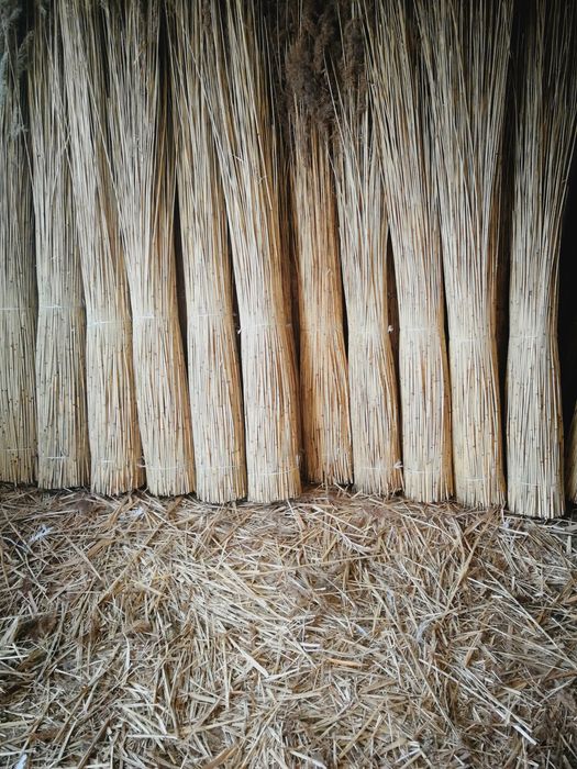 Trzcina dachowa dachówka strzecha snopek