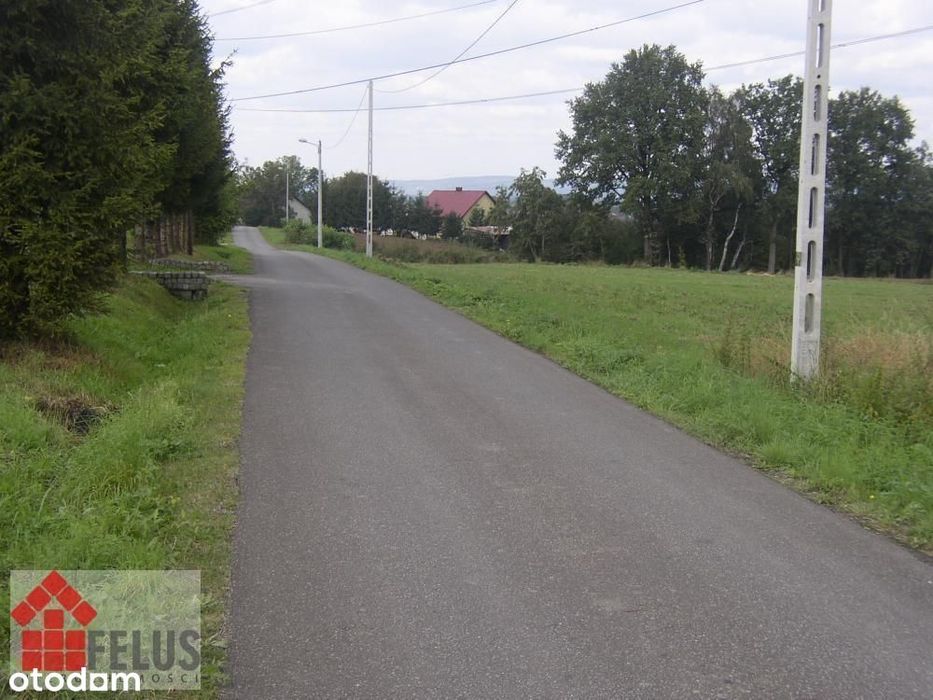 Działka, Sosnowice - Widok 5