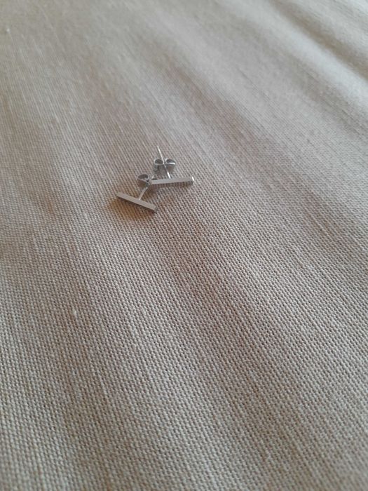 Brincos novos em aço inoxidável