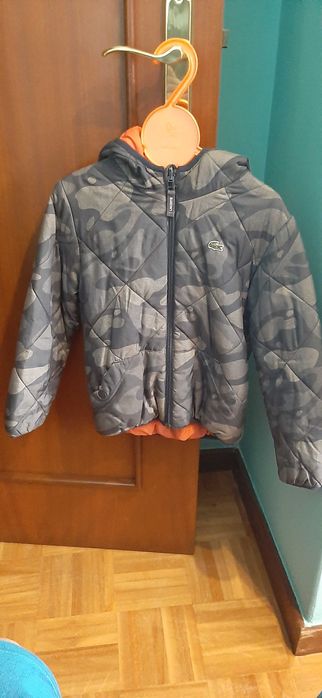 casaco lacoste para criança 6 anos