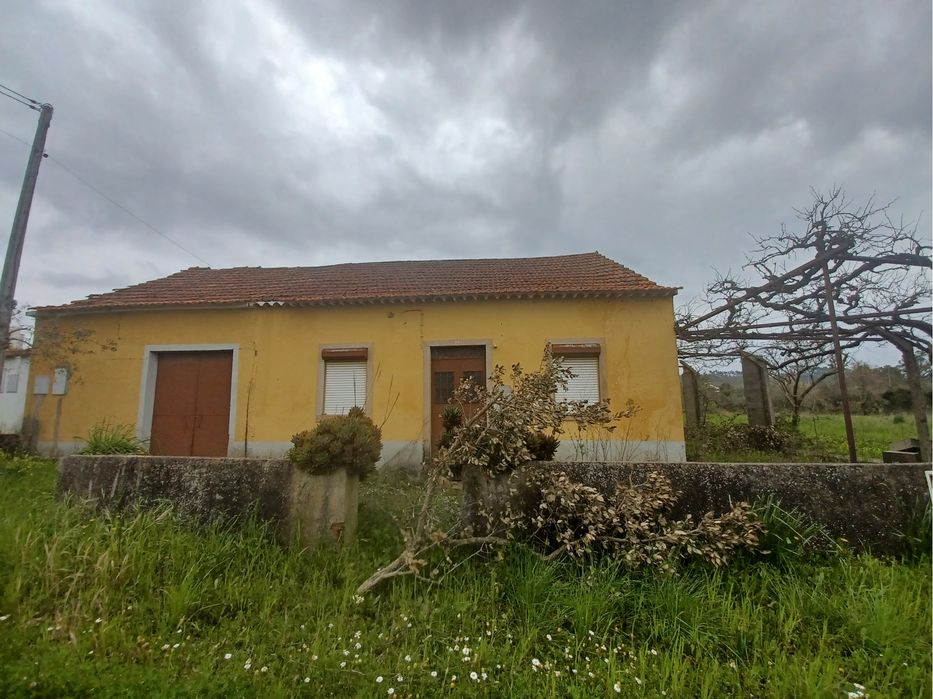 Vende-se 3 terrenos com casa e posibilidade de contricão