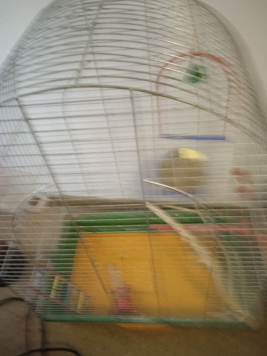 Велика клітка для папуг