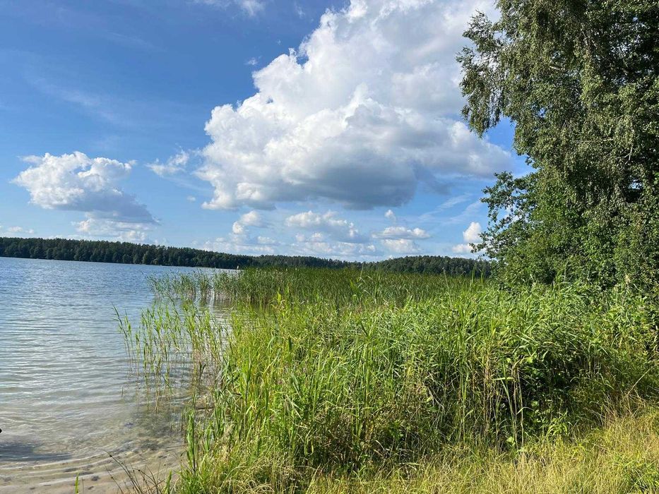 Domek z ogrodem   Augustów