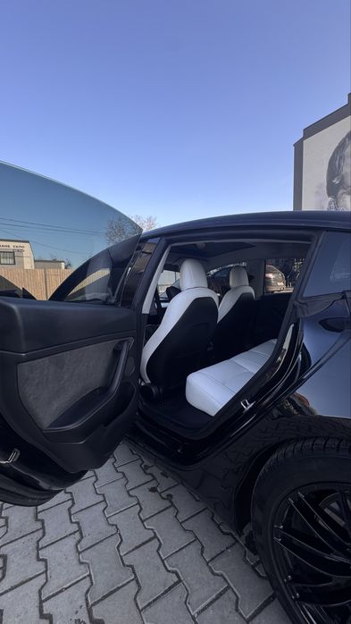 Tesla 3 perfomace 2021