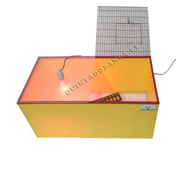 Criadeira Chick Max com Acessórios para Pintos, Codornizes
