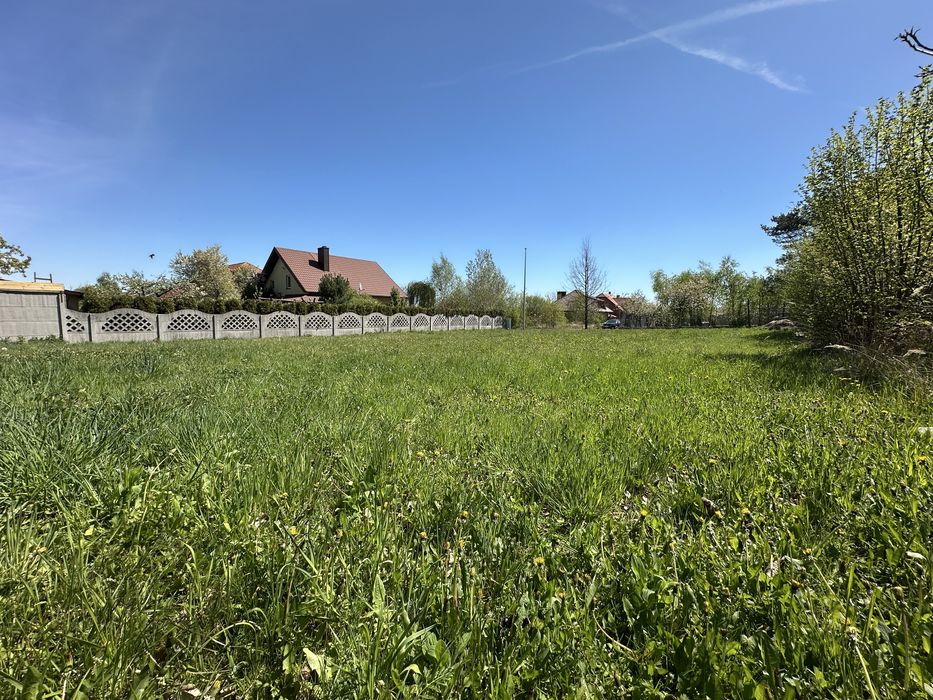 Zdjęcie 5