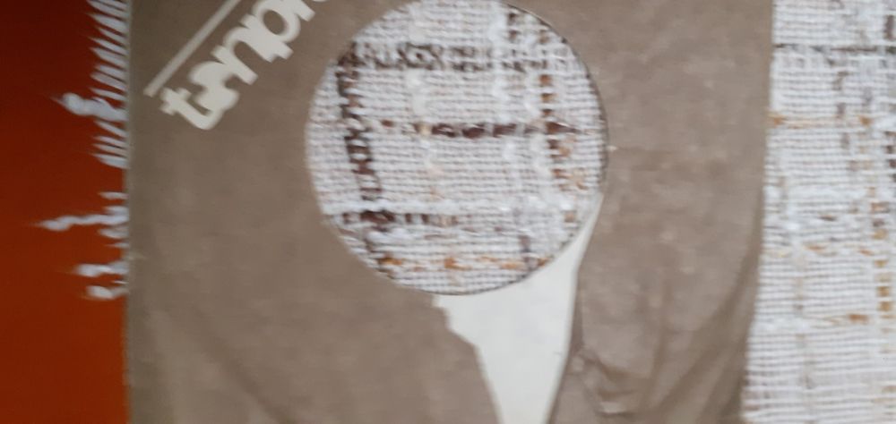 Izabela Trojanowska z zespołem Stalowy Bagaż Pieśń o cegle singiel