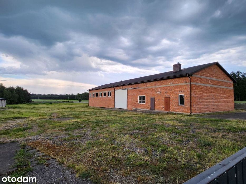 Sprzedam halę Strzelce Wielkie duża możliwość adaptacji hali i działki