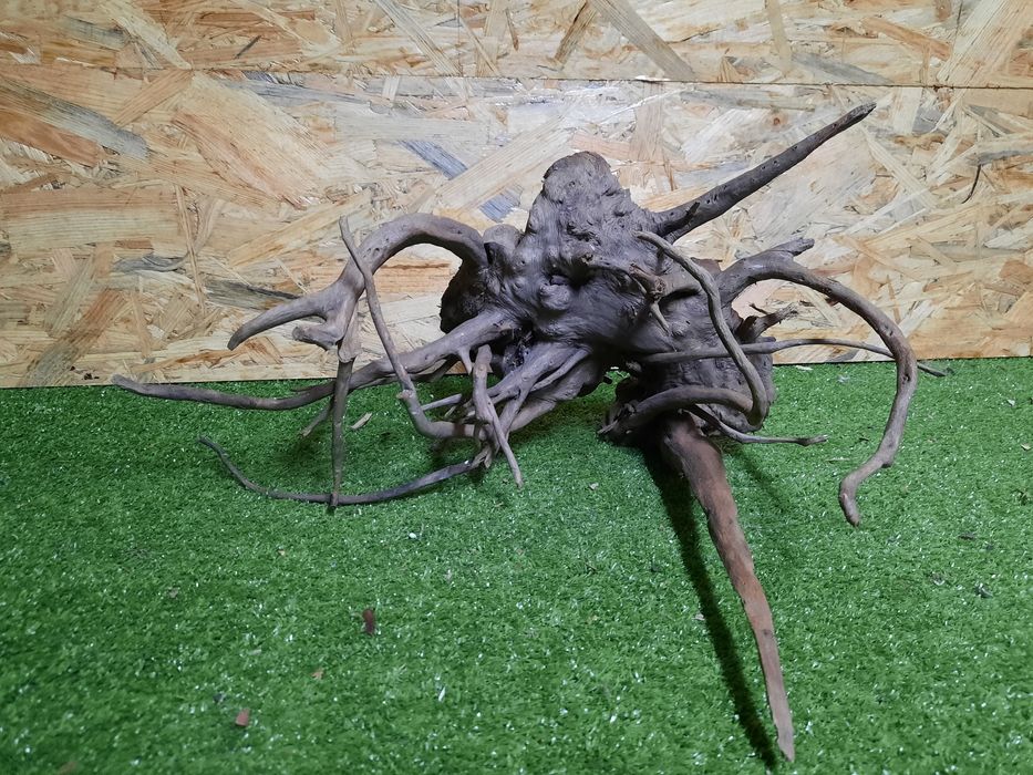 Korzeń do akwarium Red Moore Wood nr 1016 o wymiarach 45/25/32