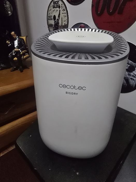 Mini desumidificador Cecotec BIGDRY