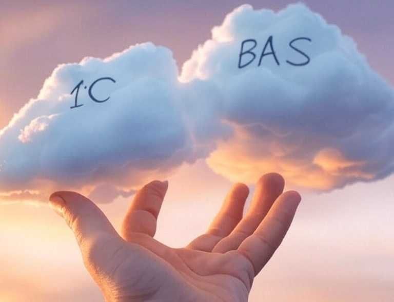 Программист 1С/BAF • Установка • Сопровождение • Доработки под вас