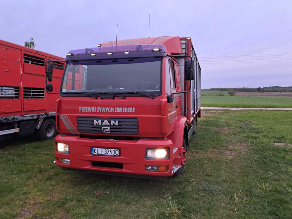 Mik-pol Skup bydła rzeznego podlaskie