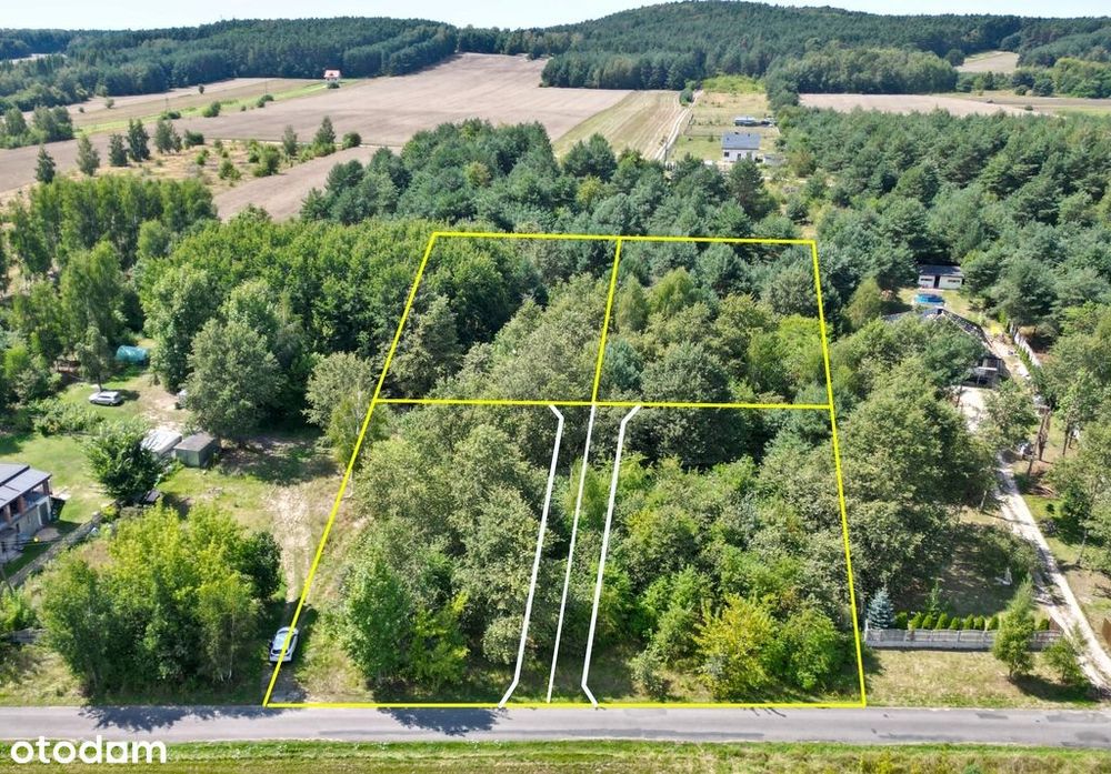 Działka Budowlana w Borowej gm Wola Krzysztoporska
