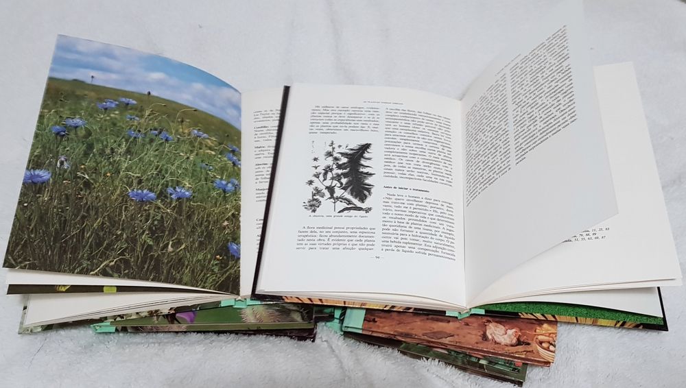 Enciclopédia sobre Plantas