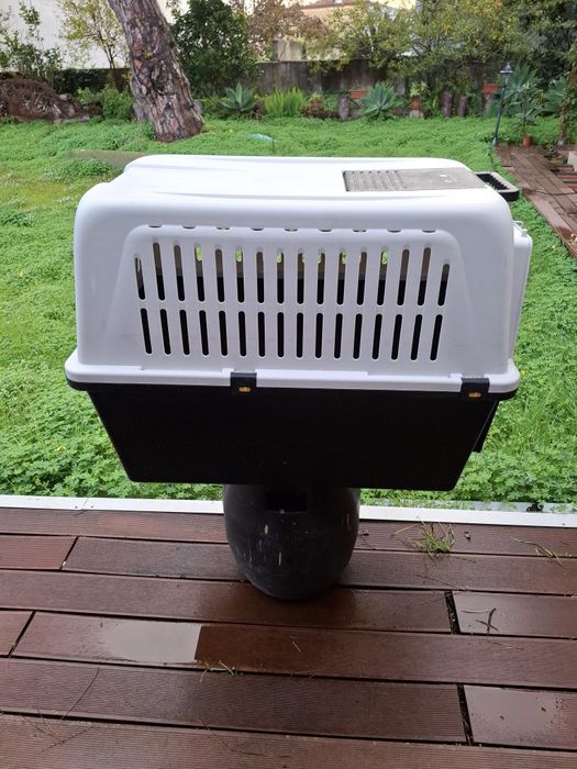 Caixa de transporte para cães