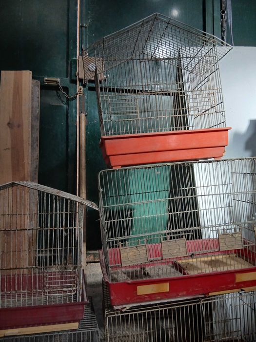 Tenho para cedência, por motivos de espaço estas Gaiolas usadas