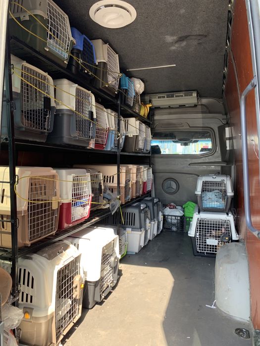 Доставка животных в Европу, США, Канаду. Перевозка, delivery pets
