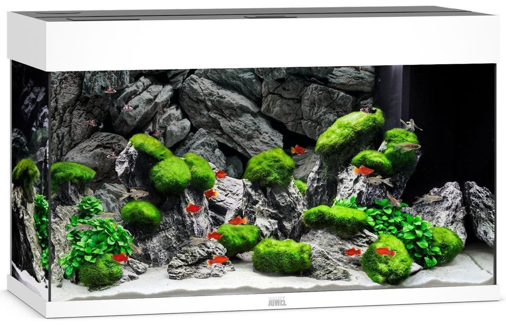 Juwel Rio 125 LED białe akwarium z szafką Aqualife