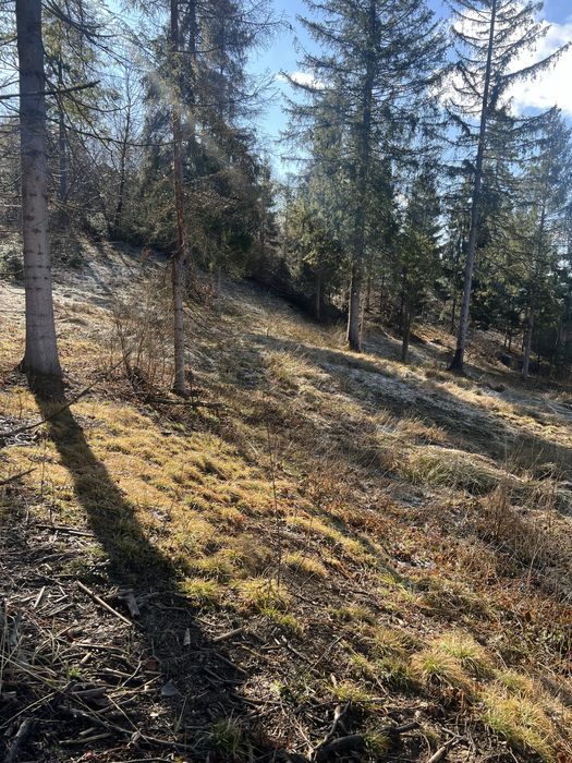 Продам земельну ділянку Слаське 25 сотих під будівництво