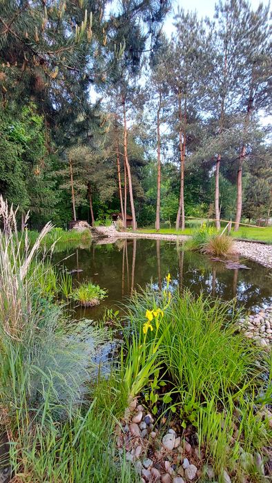 Domek na Święta lub Sylwestra
