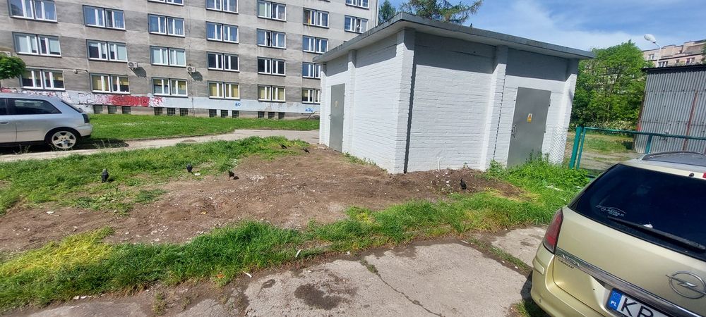Wywóz Gruzu I Śmieci