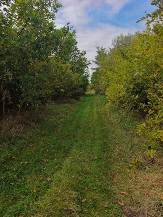 Продаж земельної ділянки