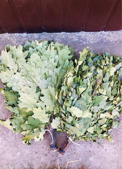 Банні віники: березові та дубові