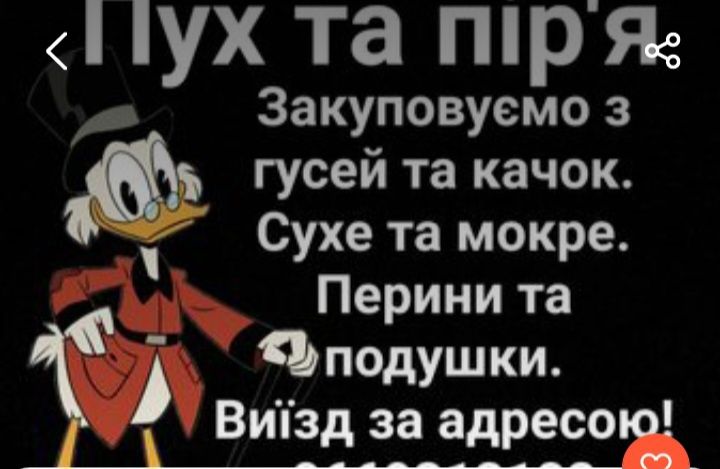 Купляю піря подушки та перини