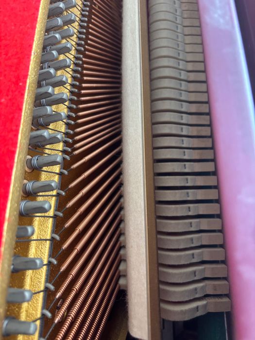 Piano Royale R/S-111 S/N 066160