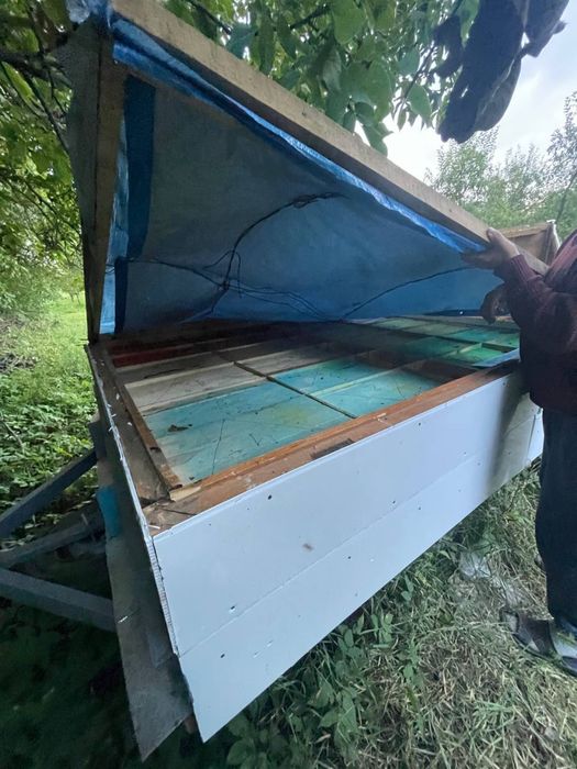 Продаю причеп з вуликом Чернівці