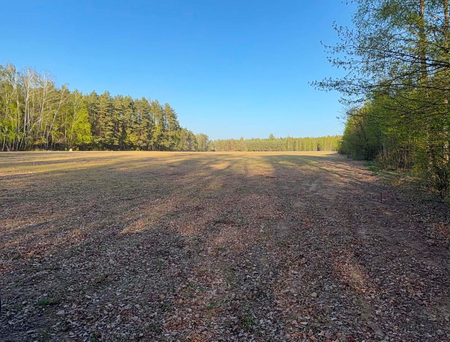 Działka 3000m z warunkami zabudowy.