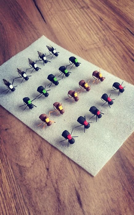 Muchy klen jaz pstrag