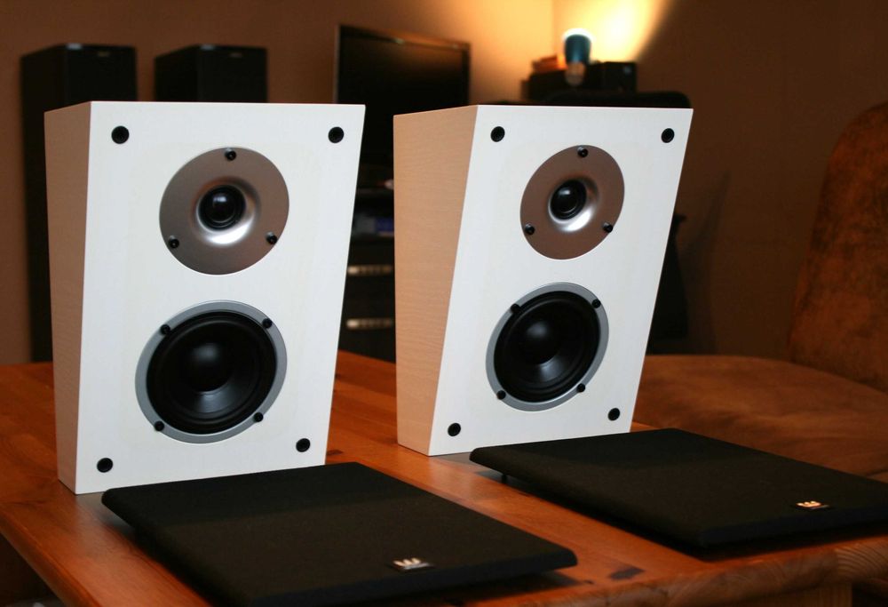 Wyjątkowe kolumny Wilson Raptor X głośniki do Dolby Atmos