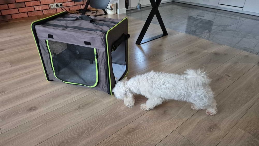 Transporter dla psa lub kota