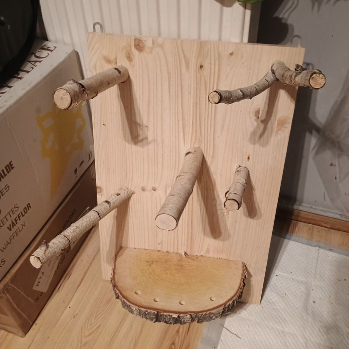 Plac zabaw na ścianę dla papug