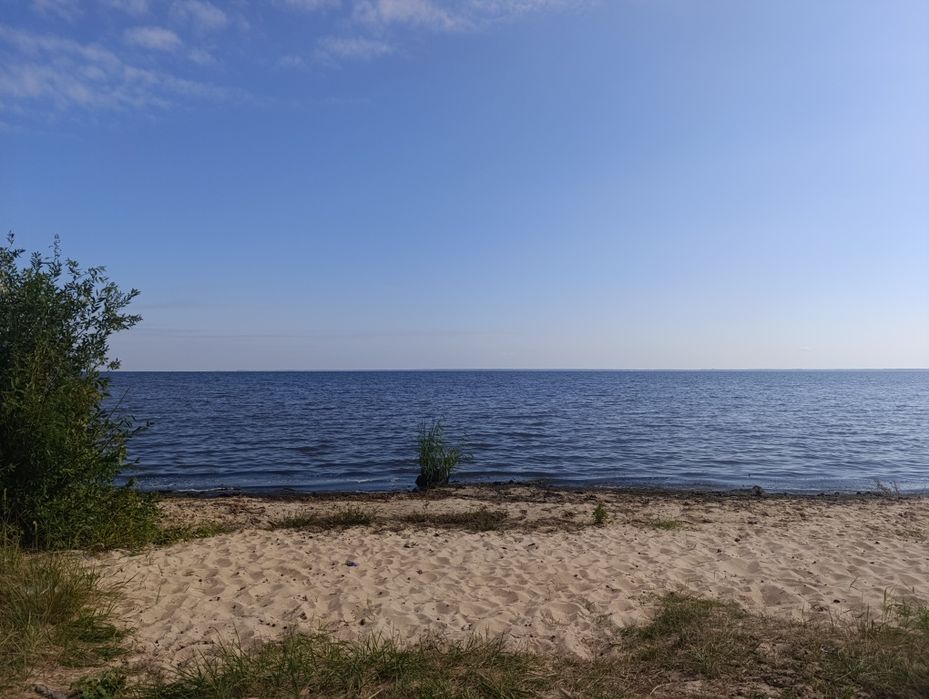 Продаж земельної ділянки в с. Сухолуччя без комісії!